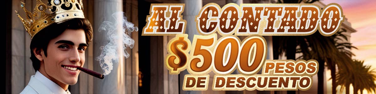 Anillos de Graduación de Promoción